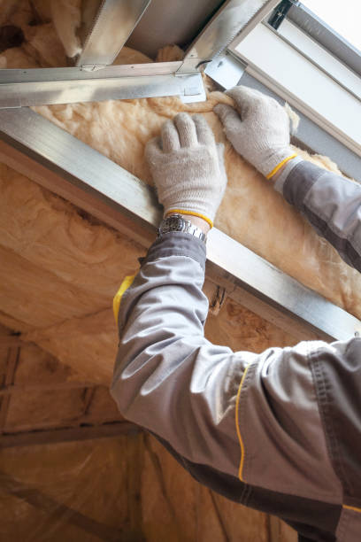 Best Insulation Maintenance and Repair in Rinna, VA