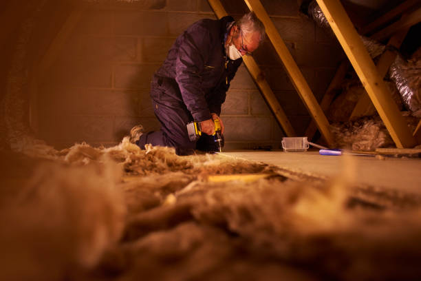 Best Commercial Insulation in Rinna, VA