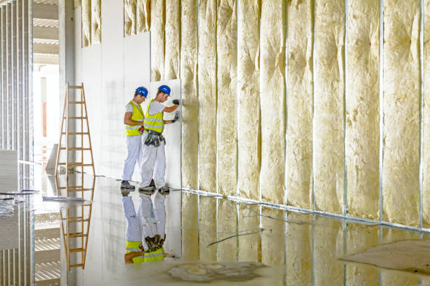 Best Geographic-Specific Insulation Services in Rinna, VA